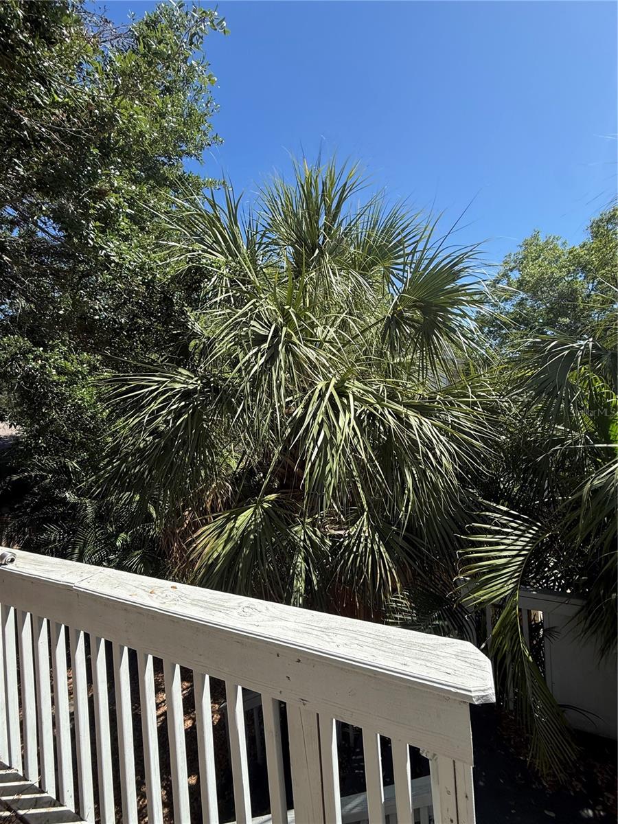 345 22ND AVE S #B, ST PETERSBURG, FL, 33705