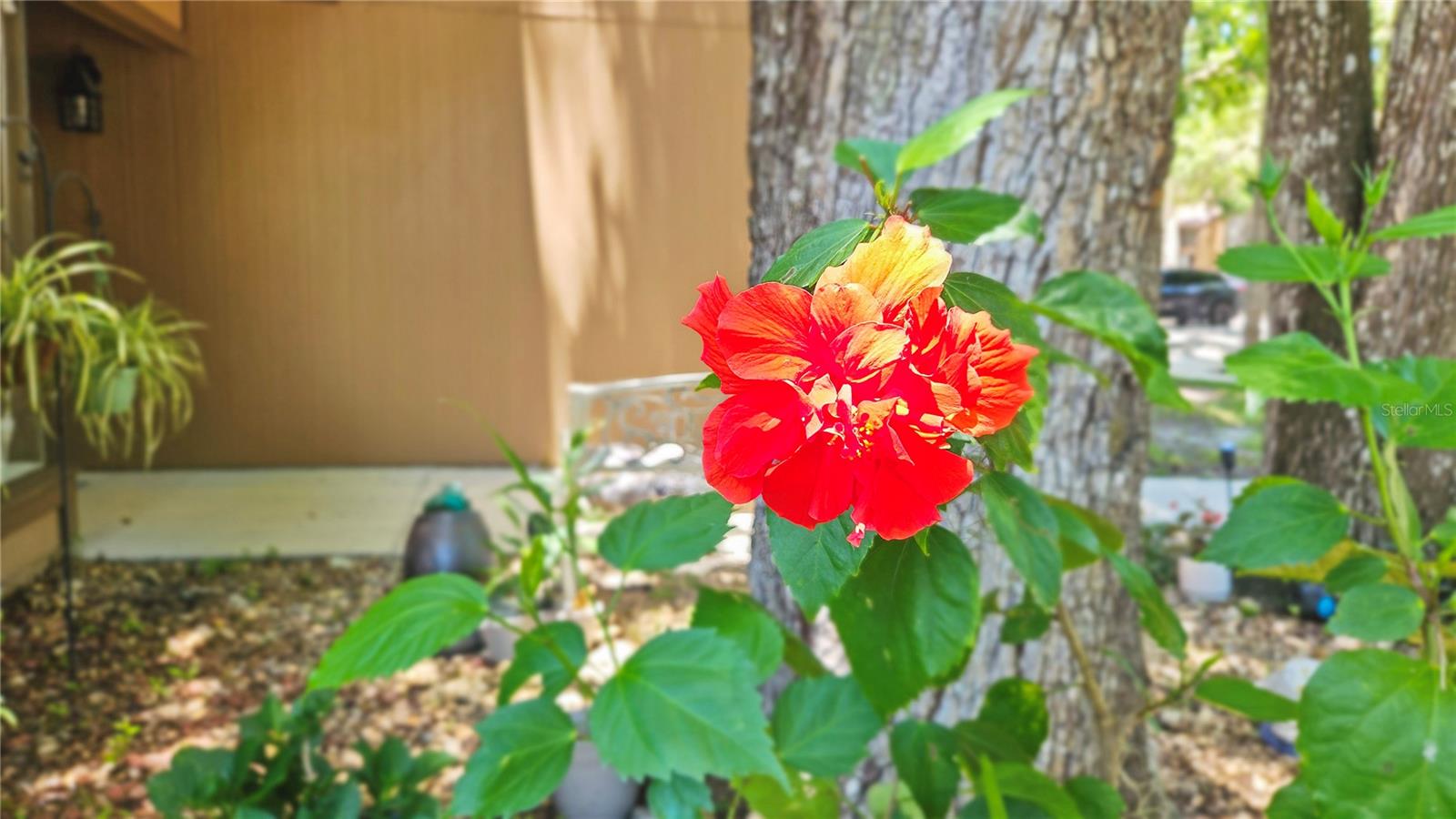 21 MID PINES CIR, PALM COAST, FL, 32137