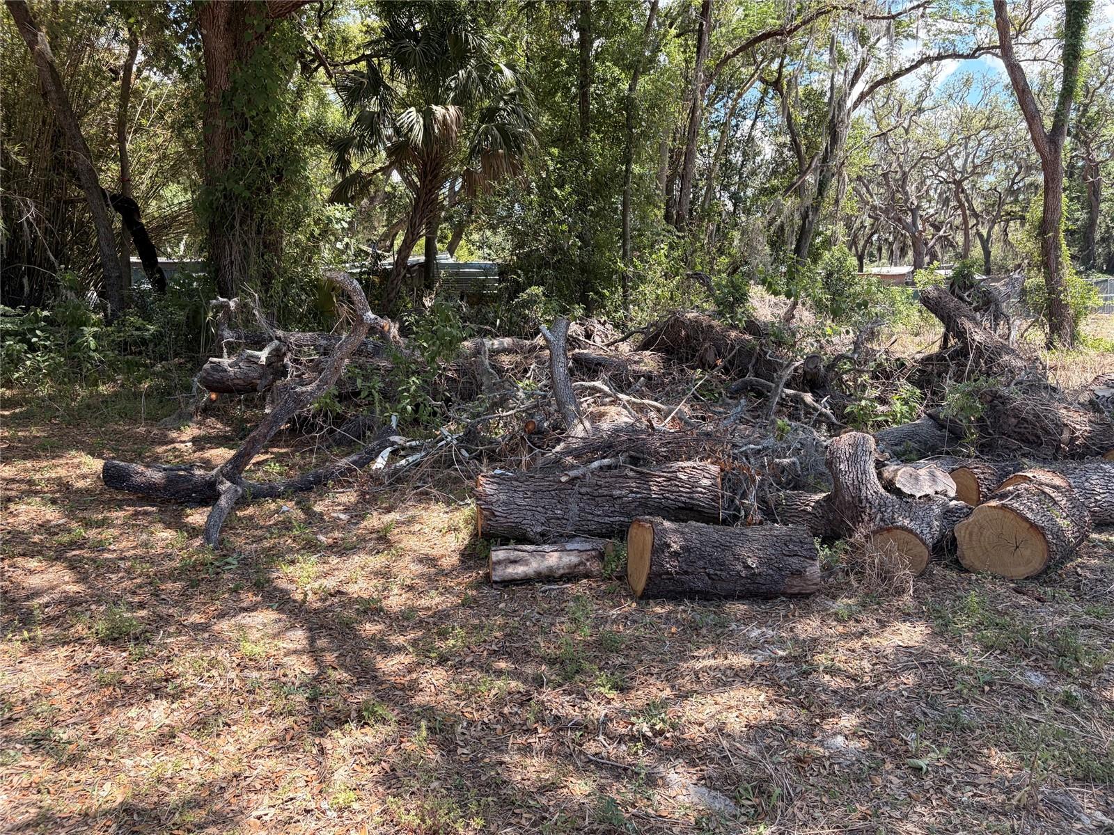 HICKS ROAD, HUDSON, FL, 34667