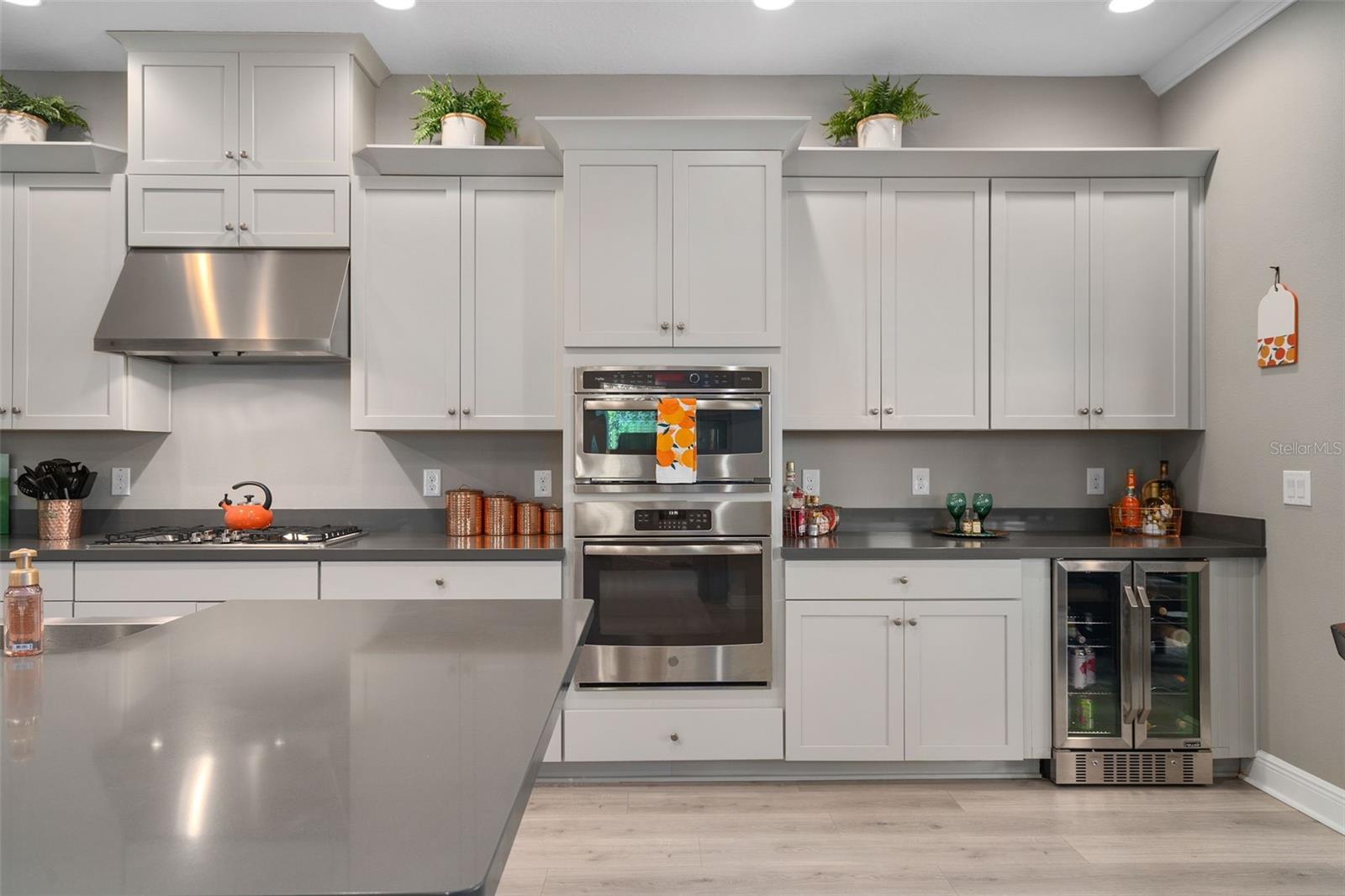 1192 ESPERANZA RIDGE RD, CLERMONT, FL, 34715