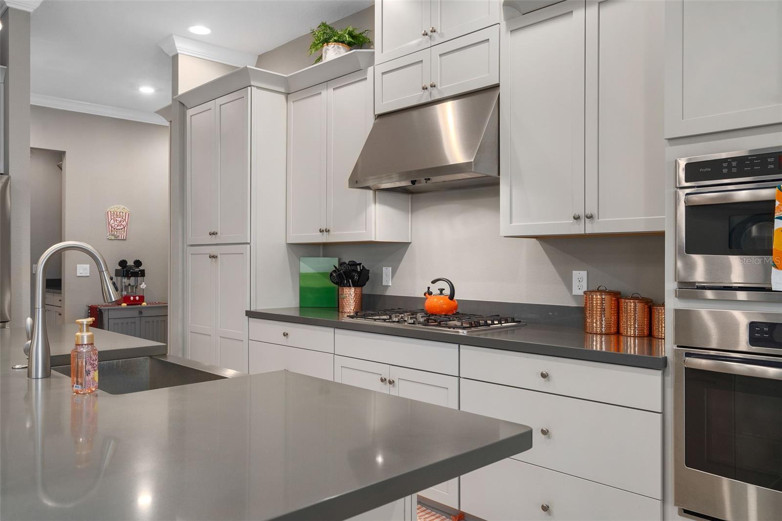 1192 ESPERANZA RIDGE RD, CLERMONT, FL, 34715