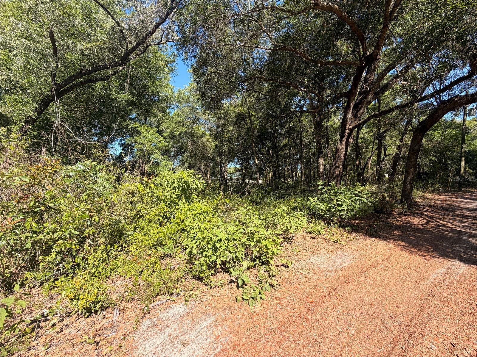 10185 CREEKFIELD RD, BROOKSVILLE, FL, 34613