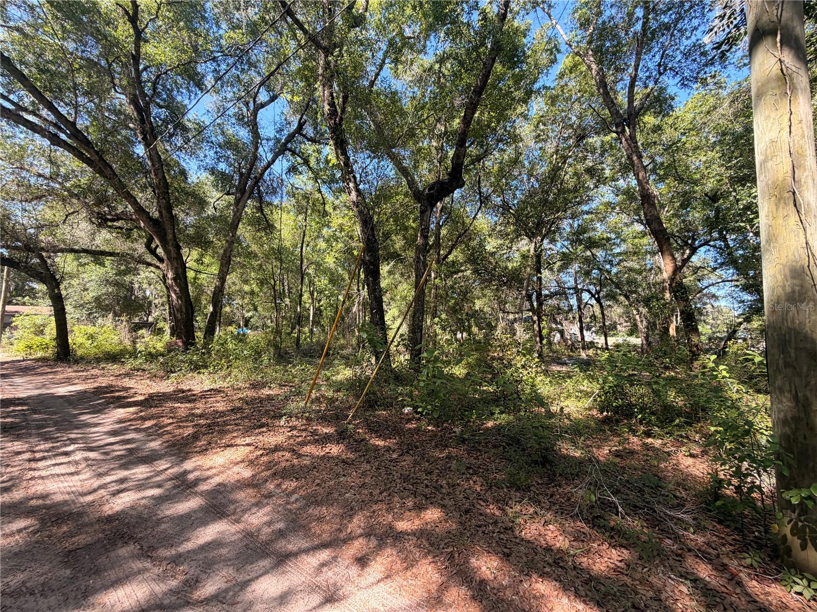 10185 CREEKFIELD RD, BROOKSVILLE, FL, 34613