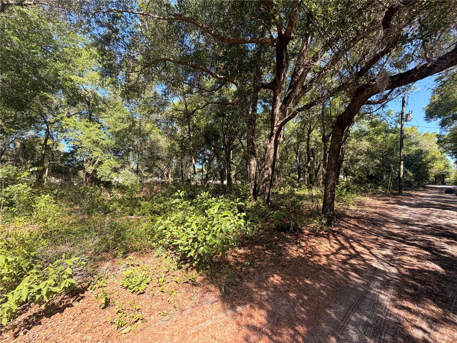 10185 CREEKFIELD RD, BROOKSVILLE, FL, 34613