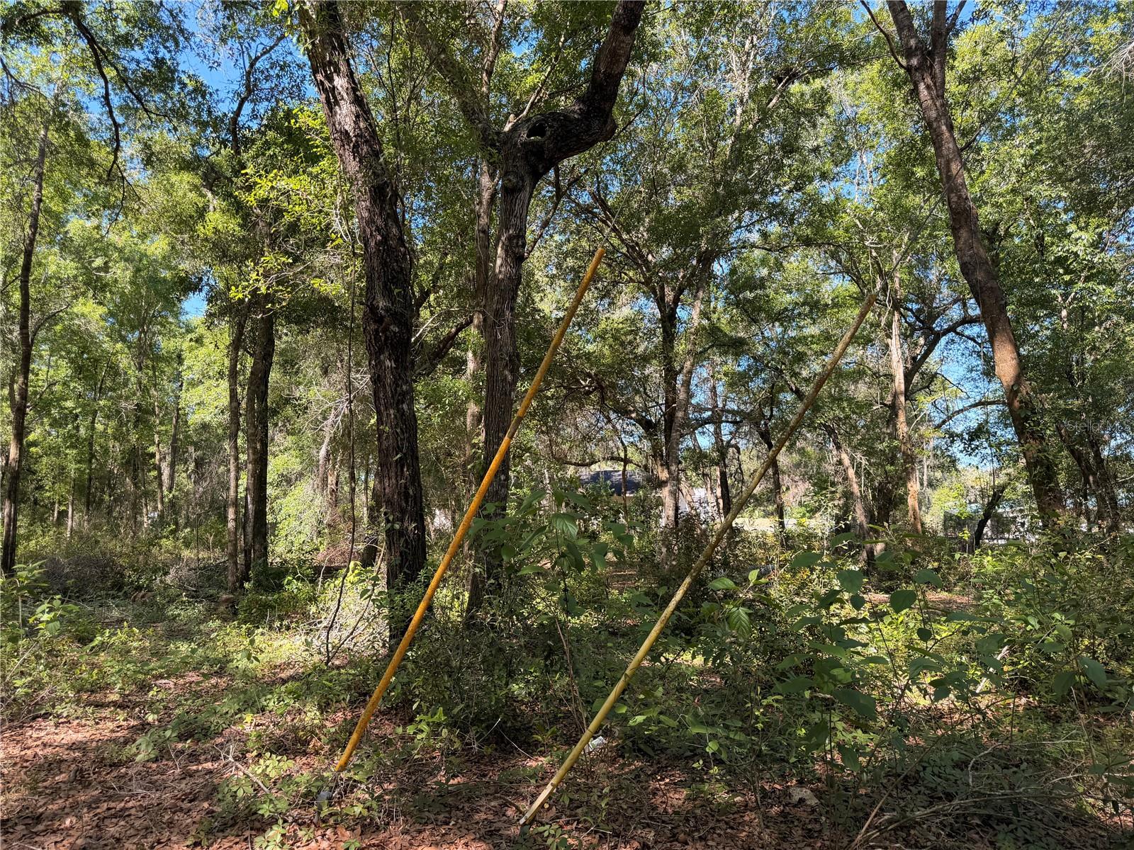 10185 CREEKFIELD RD, BROOKSVILLE, FL, 34613