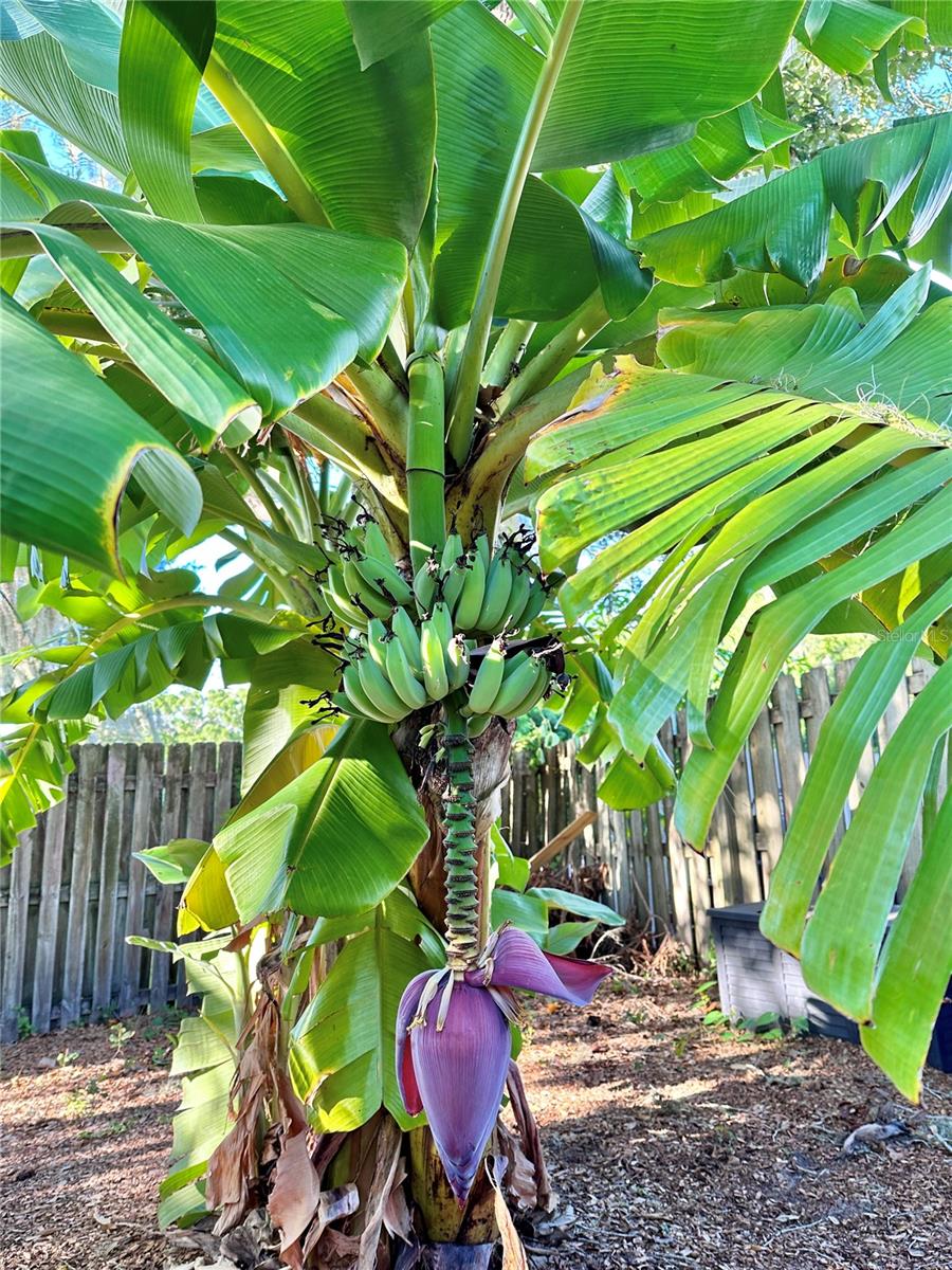 2757 FEIFFER CIR, SARASOTA, FL, 34235