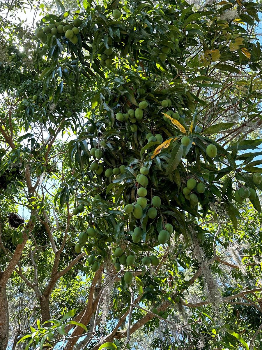 2757 FEIFFER CIR, SARASOTA, FL, 34235