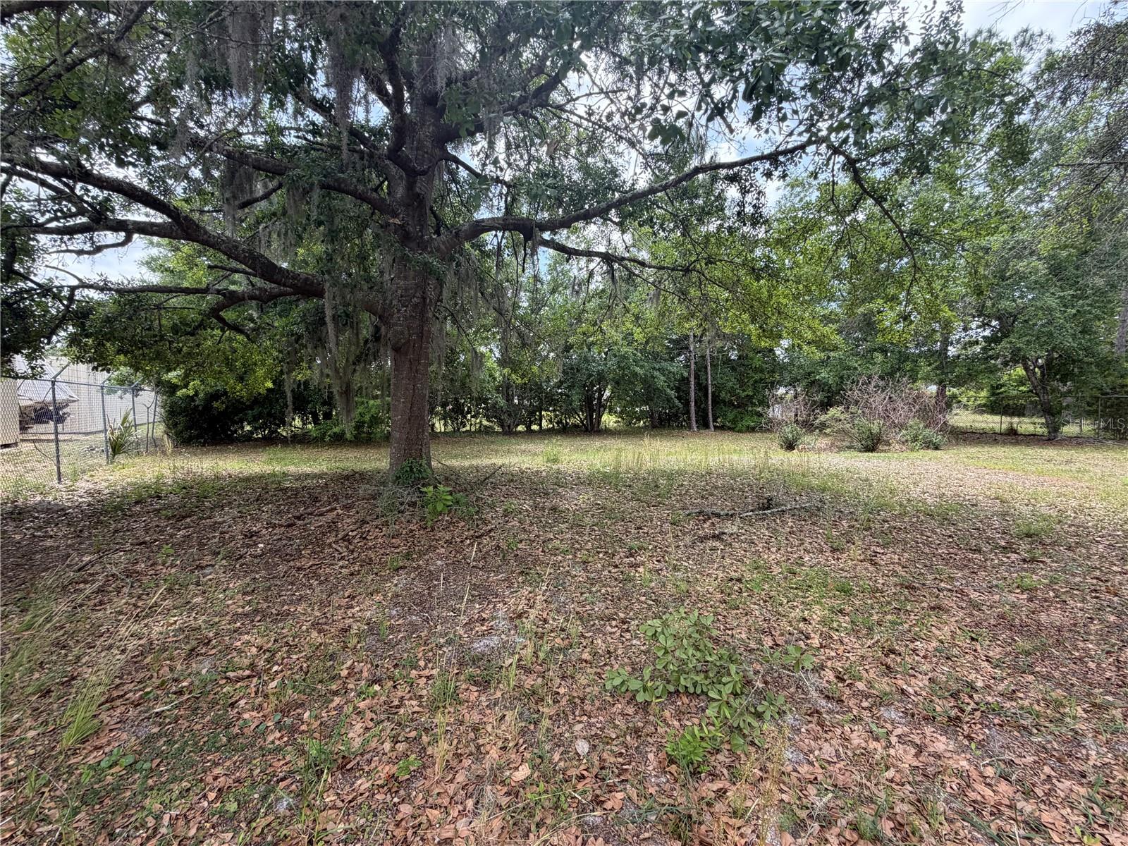 24138 PANTHER RD, ASTOR, FL, 32102