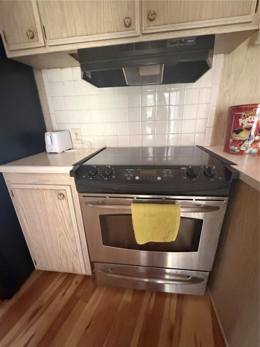 24138 PANTHER RD, ASTOR, FL, 32102