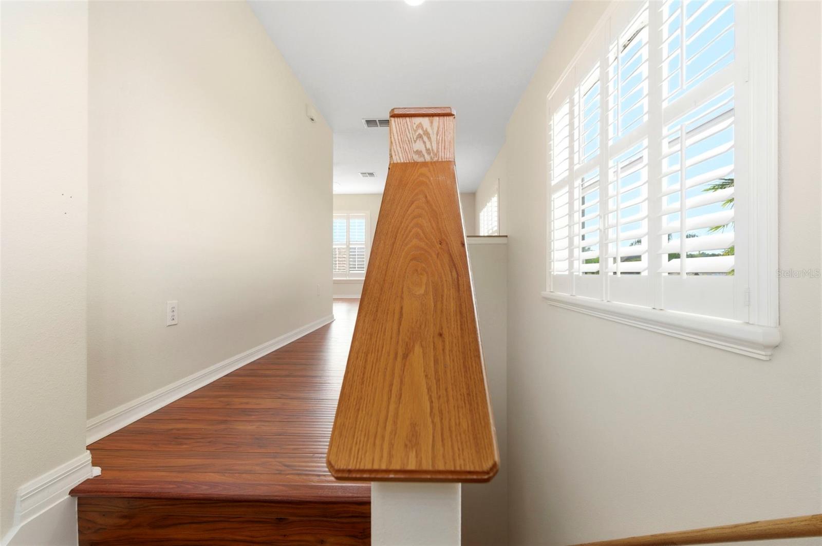 20929 SIENA LAKE RD, LAND O LAKES, FL, 34638