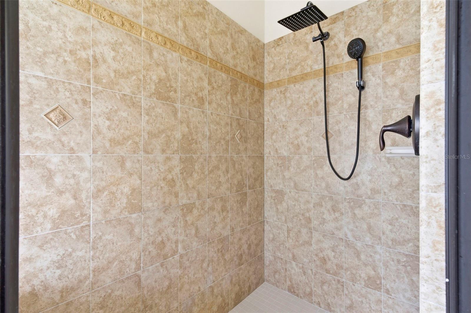 20929 SIENA LAKE RD, LAND O LAKES, FL, 34638