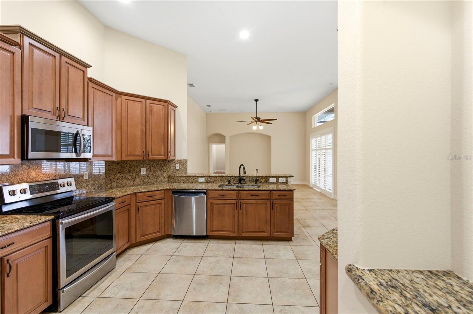 20929 SIENA LAKE RD, LAND O LAKES, FL, 34638