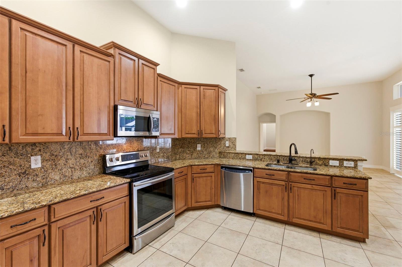 20929 SIENA LAKE RD, LAND O LAKES, FL, 34638