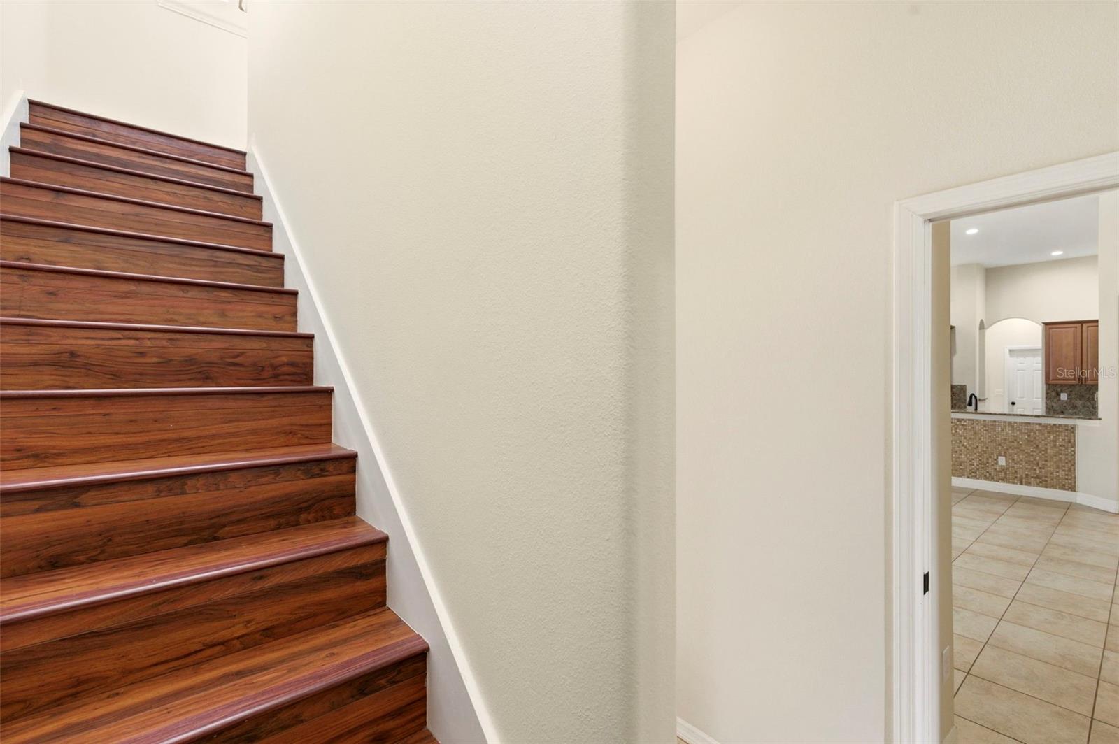 20929 SIENA LAKE RD, LAND O LAKES, FL, 34638