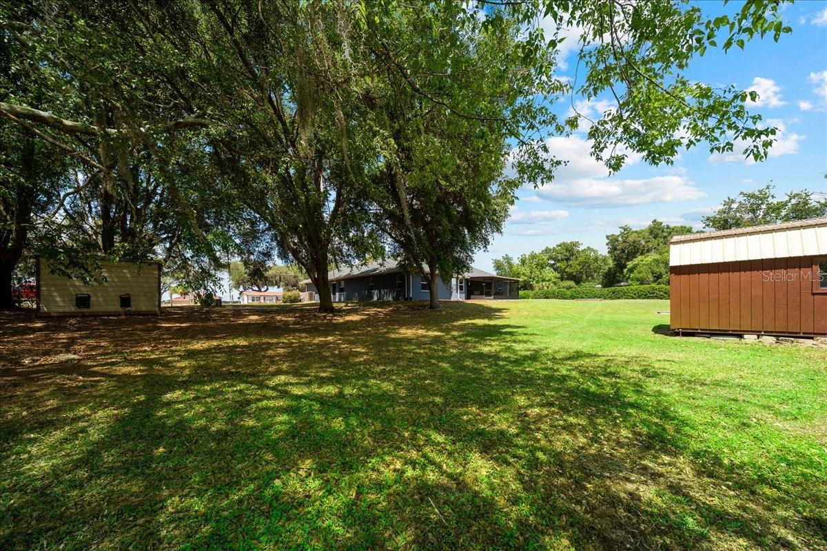 11985 SE 123RD AVE, OCKLAWAHA, FL, 32179