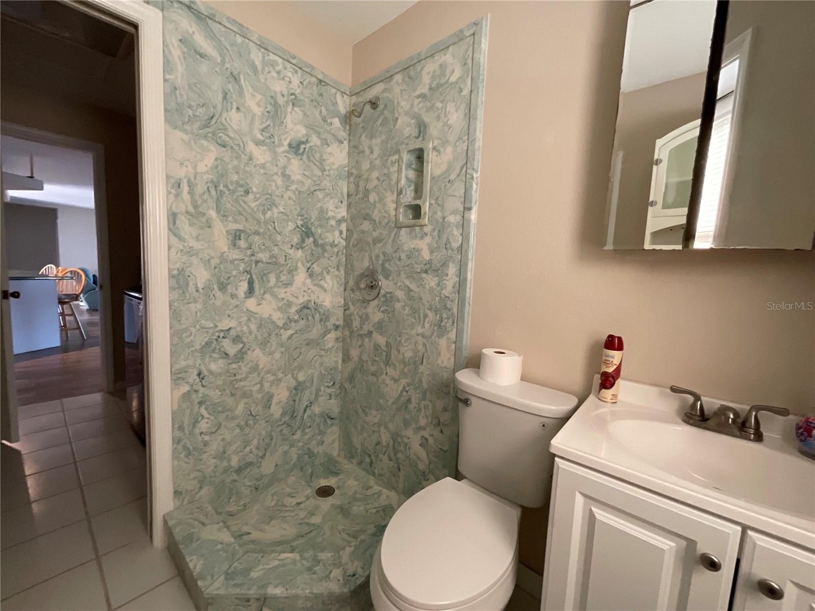 300 DRIFTWOOD DR W, PALM HARBOR, FL, 34683