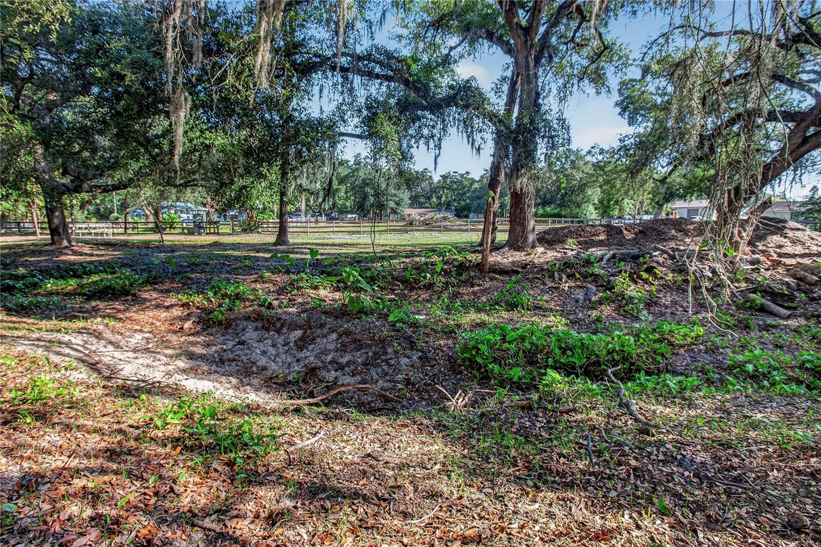 10627 MCINTOSH RD, THONOTOSASSA, FL, 33592