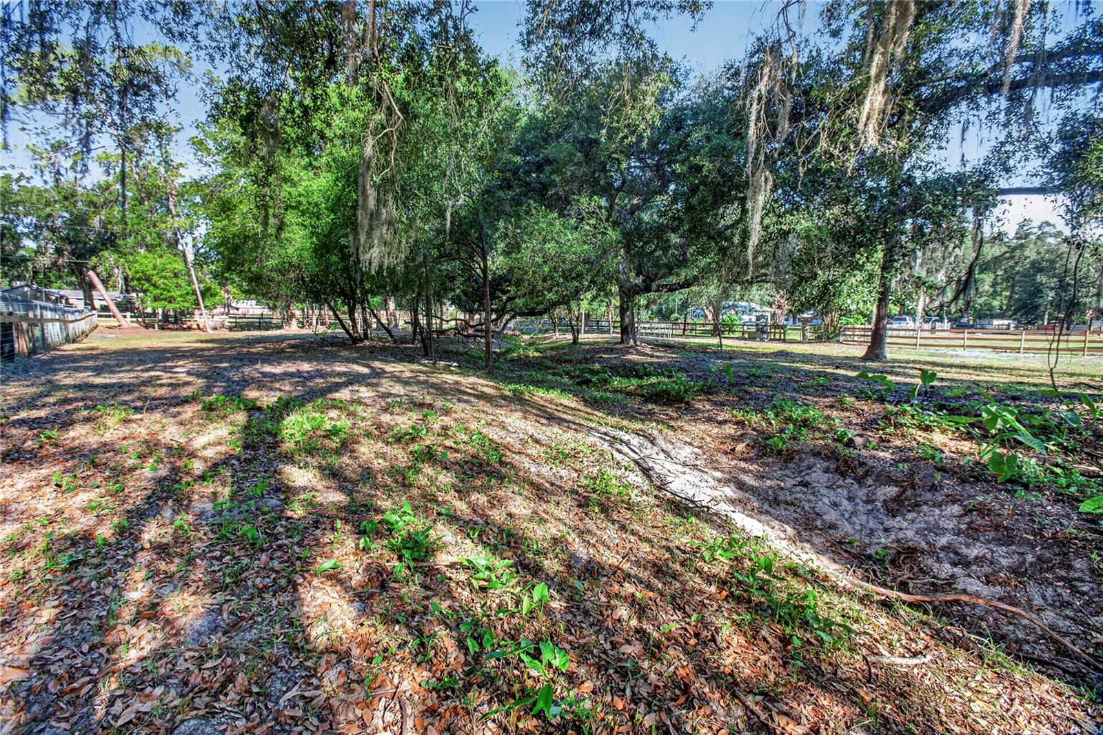 10627 MCINTOSH RD, THONOTOSASSA, FL, 33592
