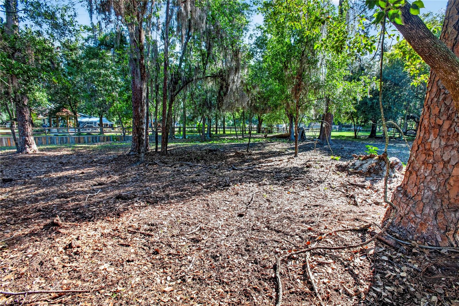 10627 MCINTOSH RD, THONOTOSASSA, FL, 33592