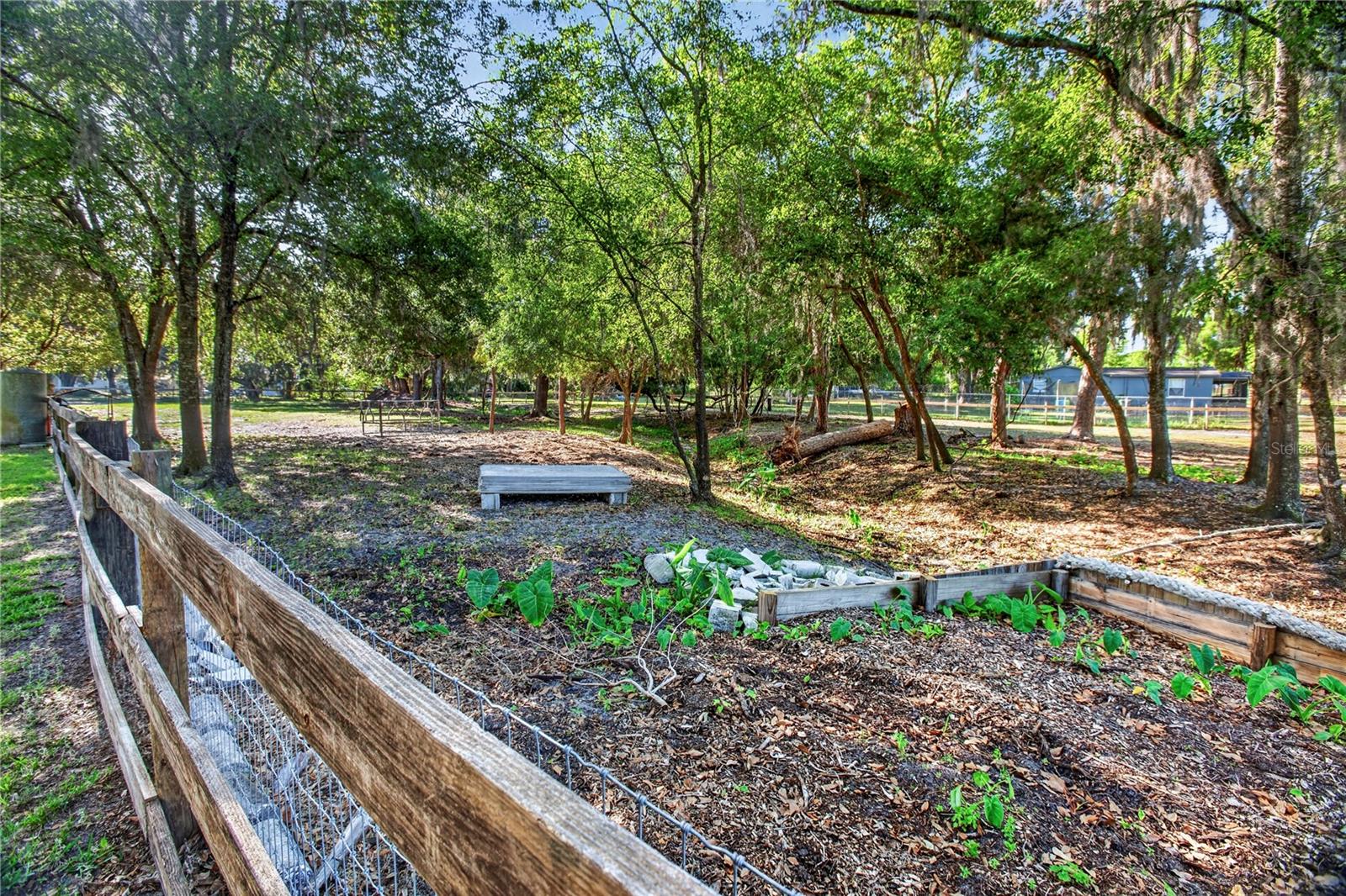 10627 MCINTOSH RD, THONOTOSASSA, FL, 33592