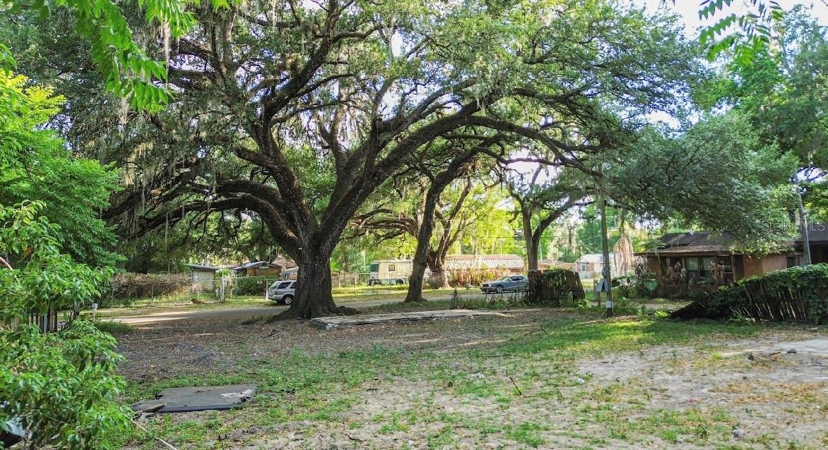 38319 STEBBINS AVE, ZEPHYRHILLS, FL, 33542