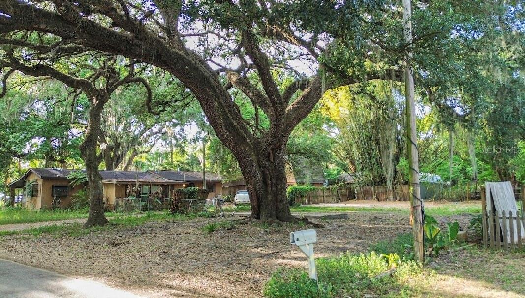 38319 STEBBINS AVE, ZEPHYRHILLS, FL, 33542