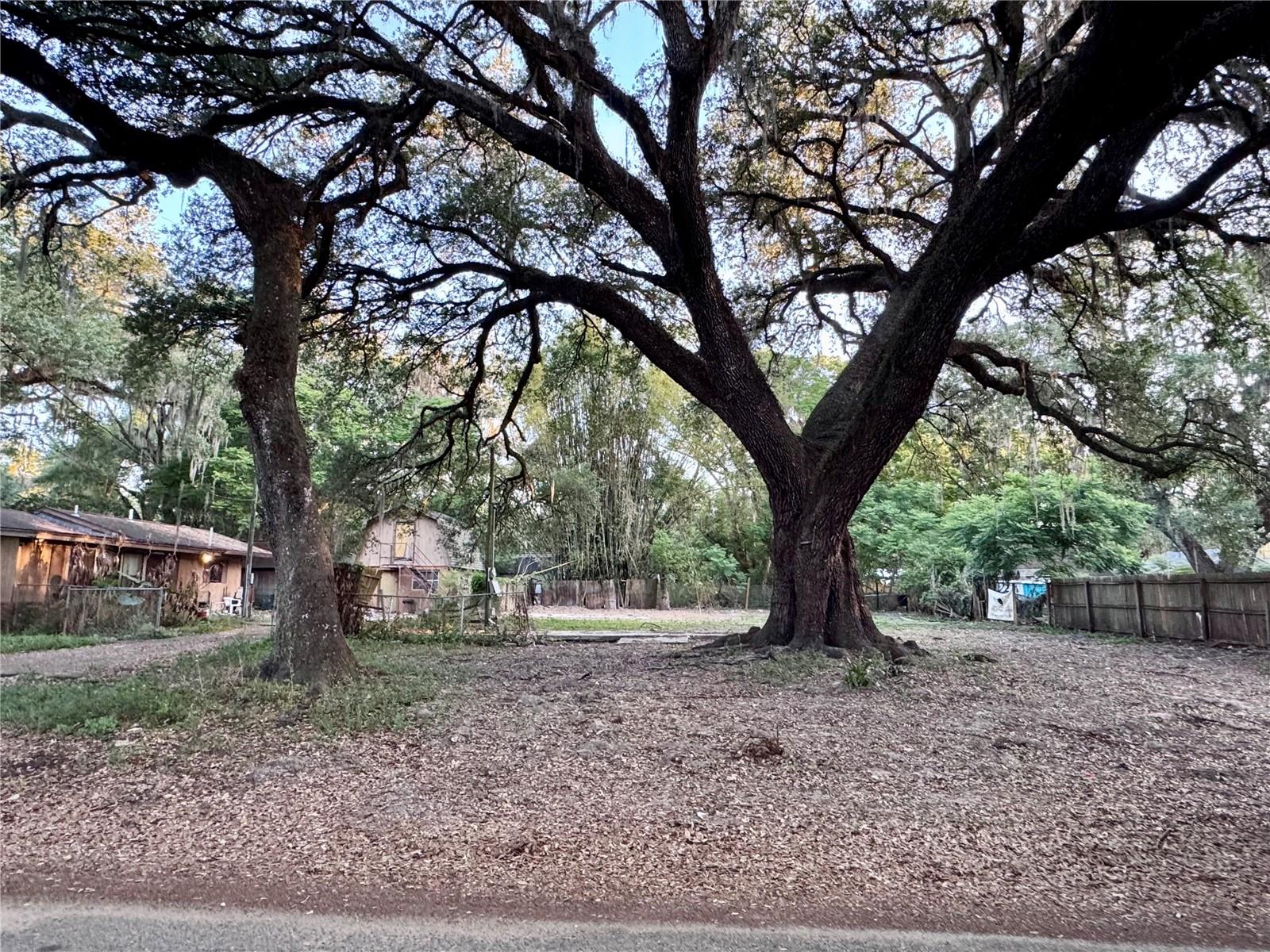 38319 STEBBINS AVE, ZEPHYRHILLS, FL, 33542