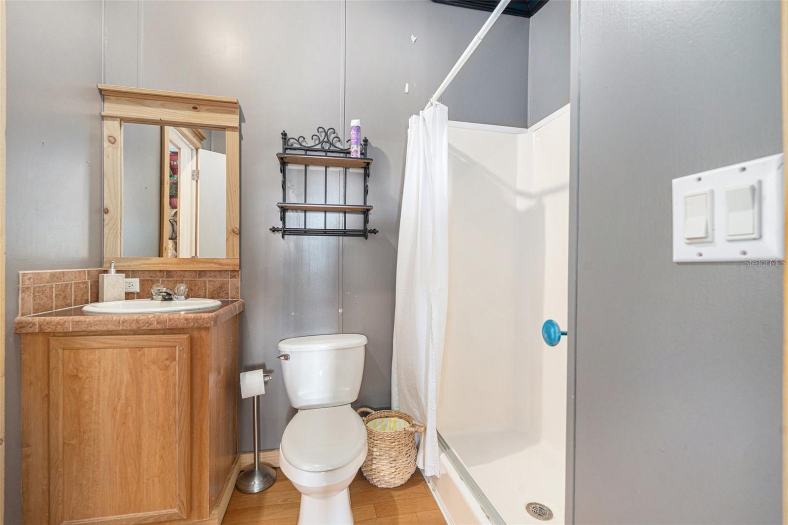 3308 ERIC JAMES CT, LITHIA, FL, 33547