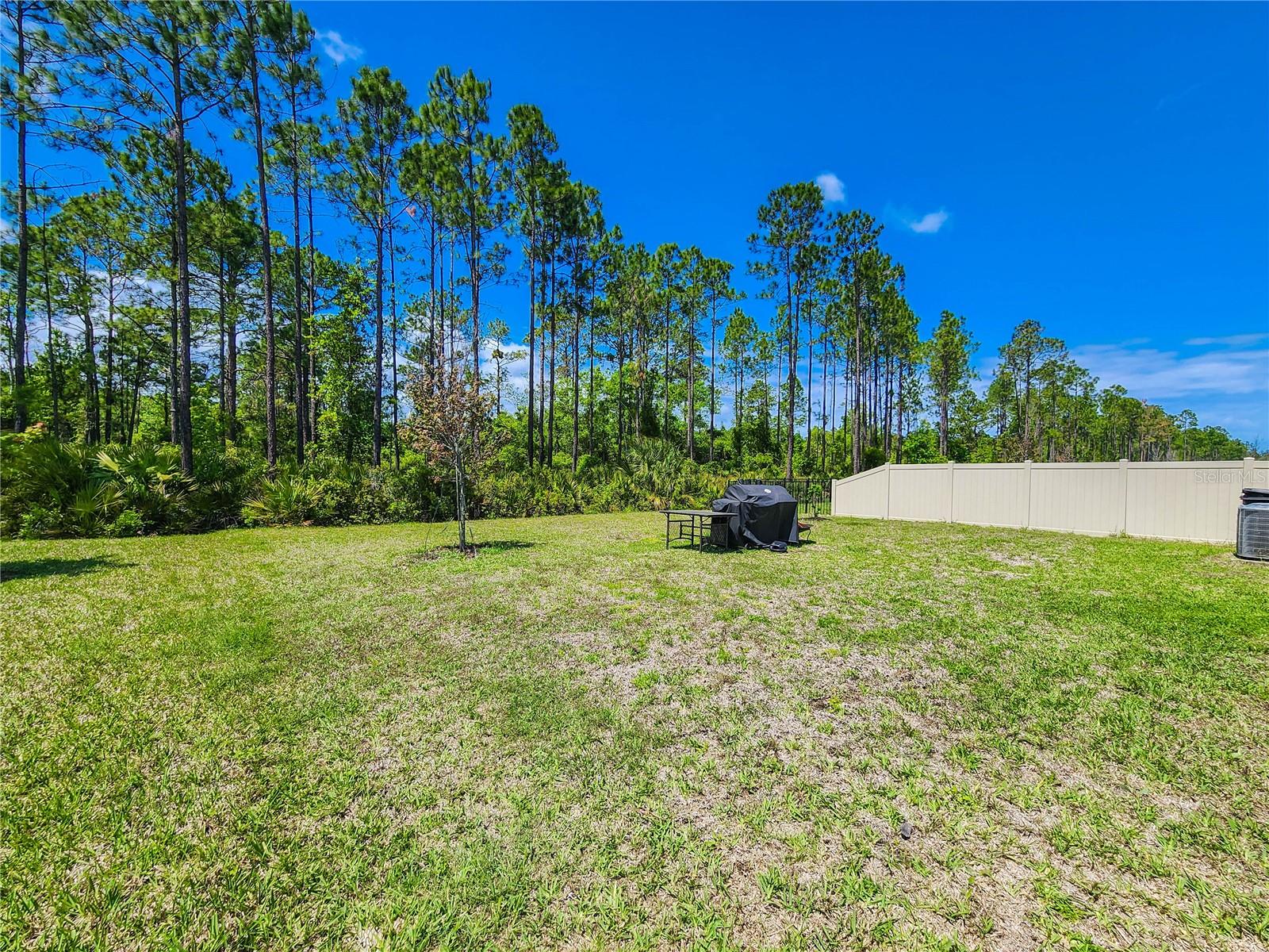 617 NARVAREZ AVE, ST AUGUSTINE, FL, 32084