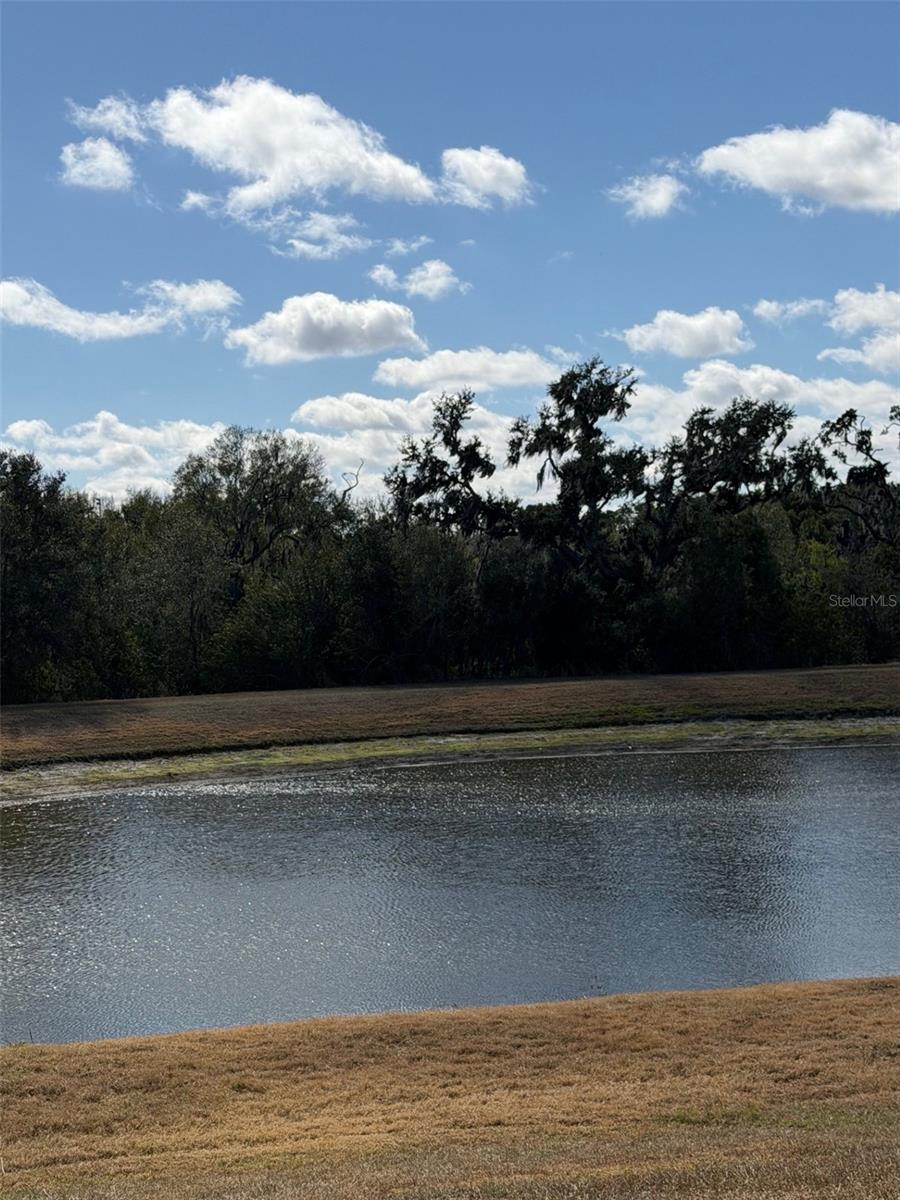 10742 SHADY PRESERVE DR, RIVERVIEW, FL, 33579