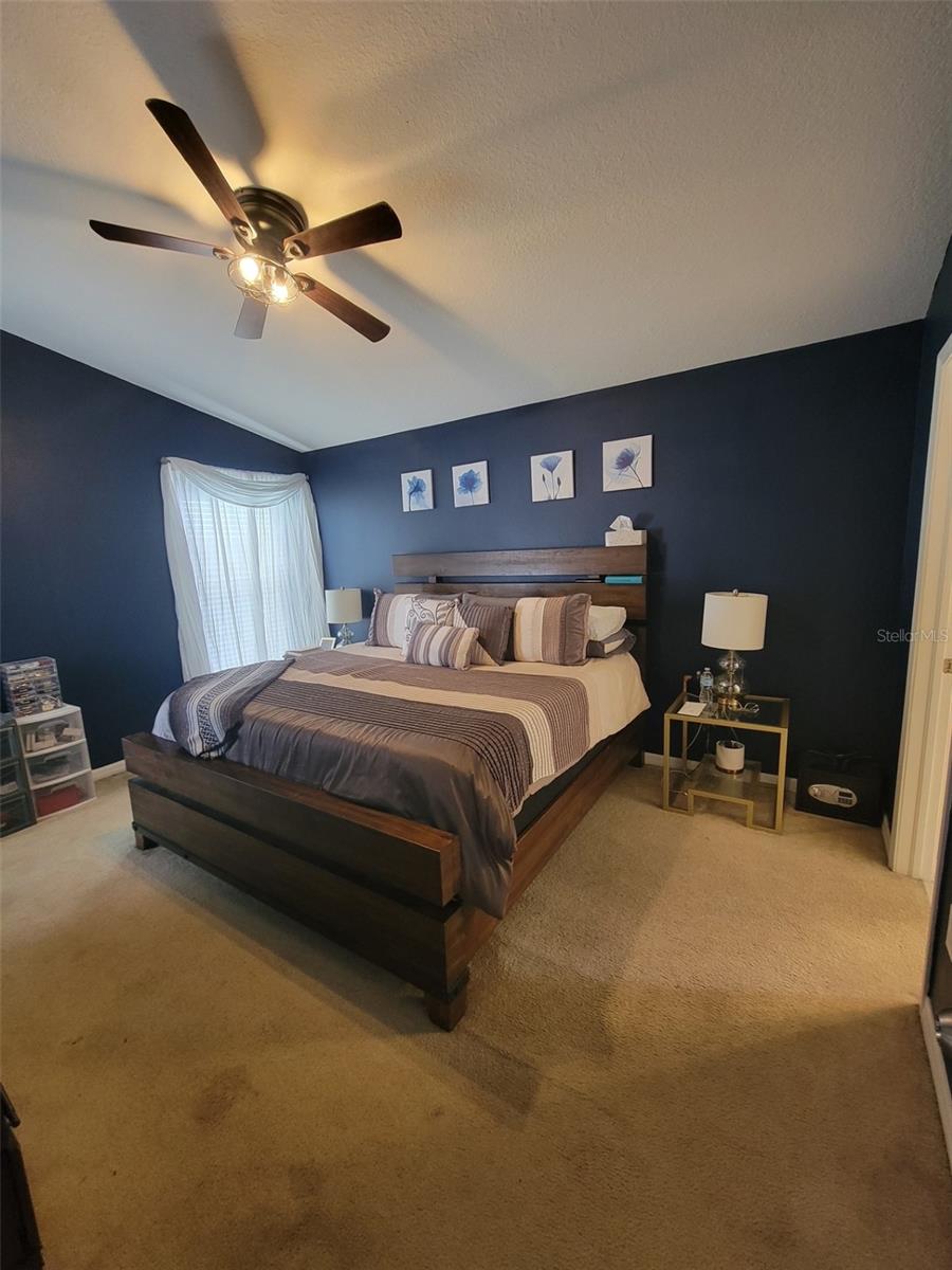 10742 SHADY PRESERVE DR, RIVERVIEW, FL, 33579