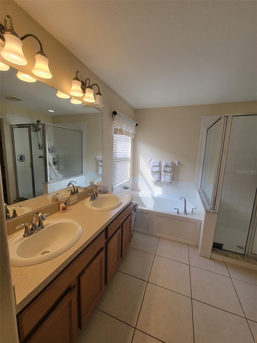 10742 SHADY PRESERVE DR, RIVERVIEW, FL, 33579