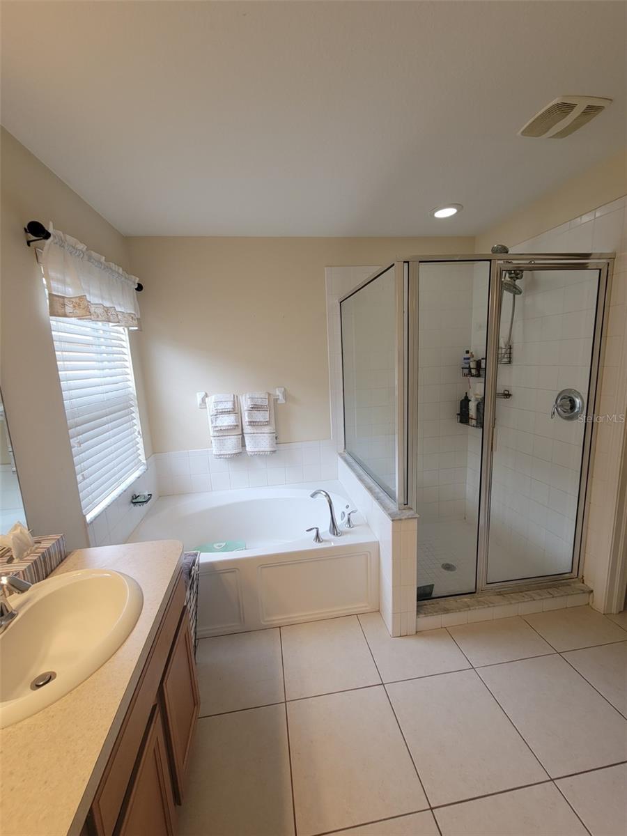 10742 SHADY PRESERVE DR, RIVERVIEW, FL, 33579