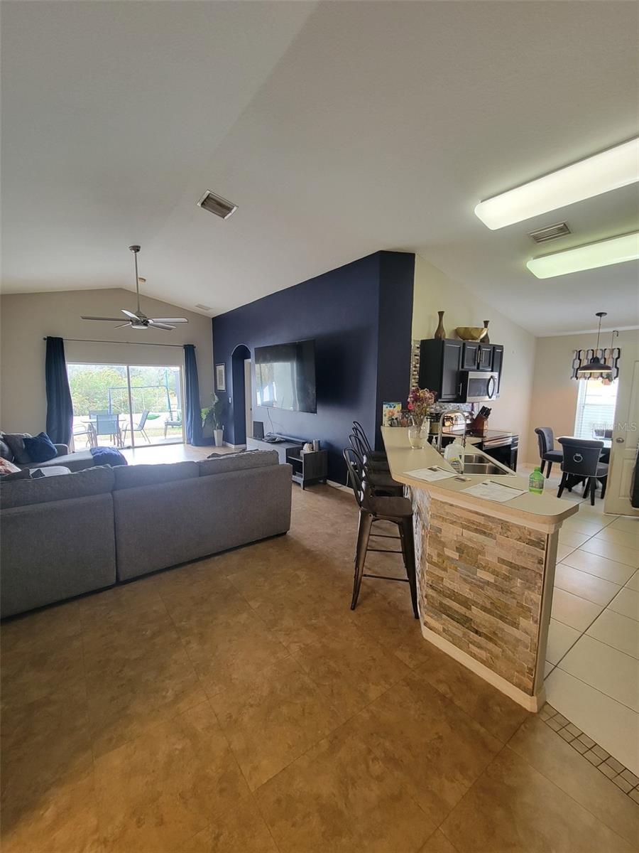 10742 SHADY PRESERVE DR, RIVERVIEW, FL, 33579