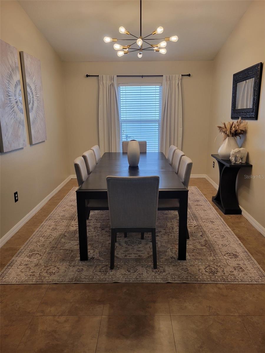 10742 SHADY PRESERVE DR, RIVERVIEW, FL, 33579