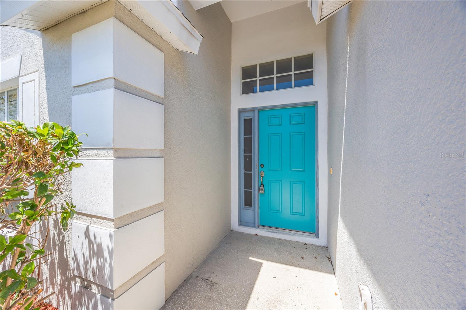 30435 ANNADALE DR, WESLEY CHAPEL, FL, 33545