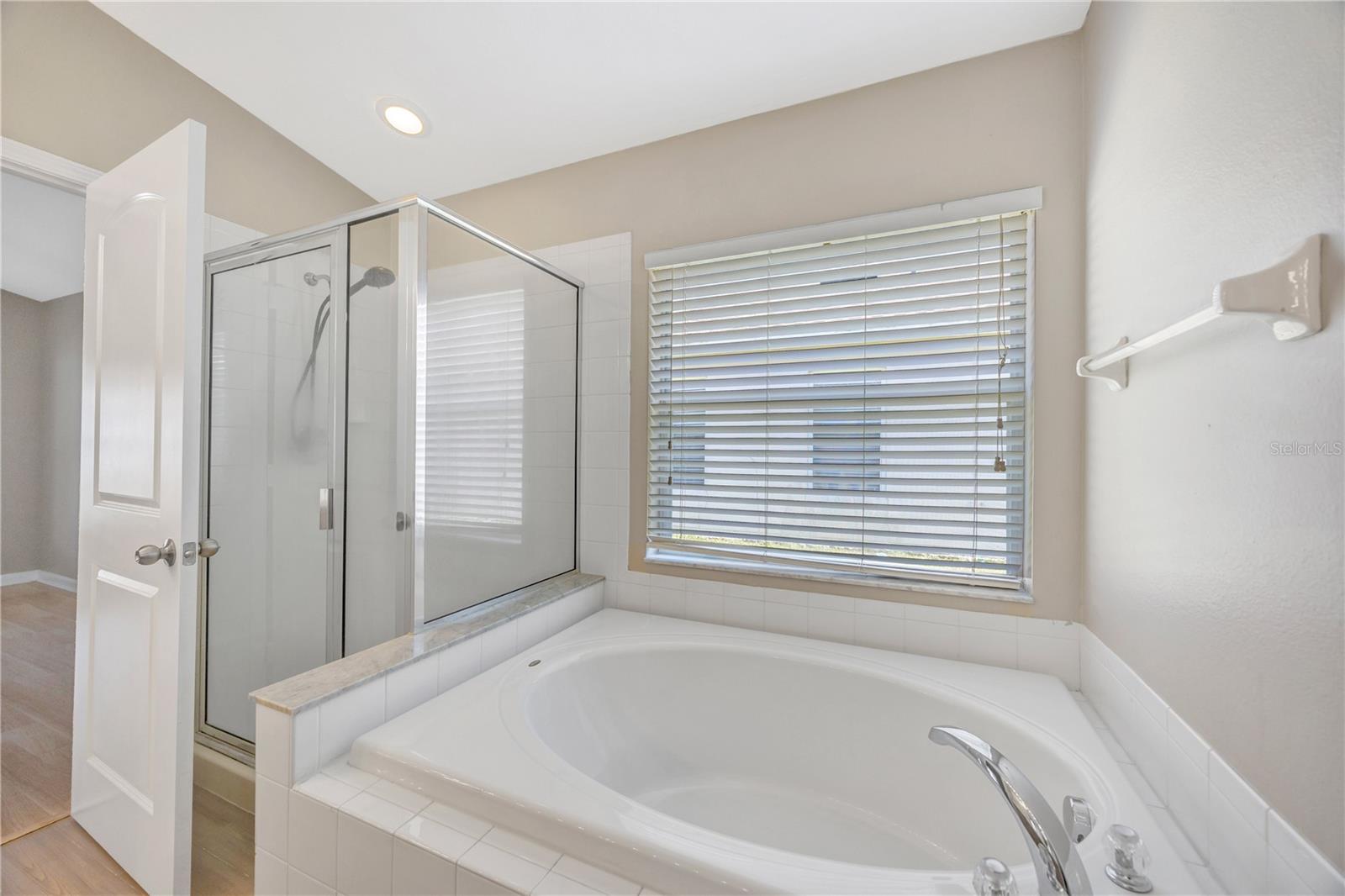 30435 ANNADALE DR, WESLEY CHAPEL, FL, 33545