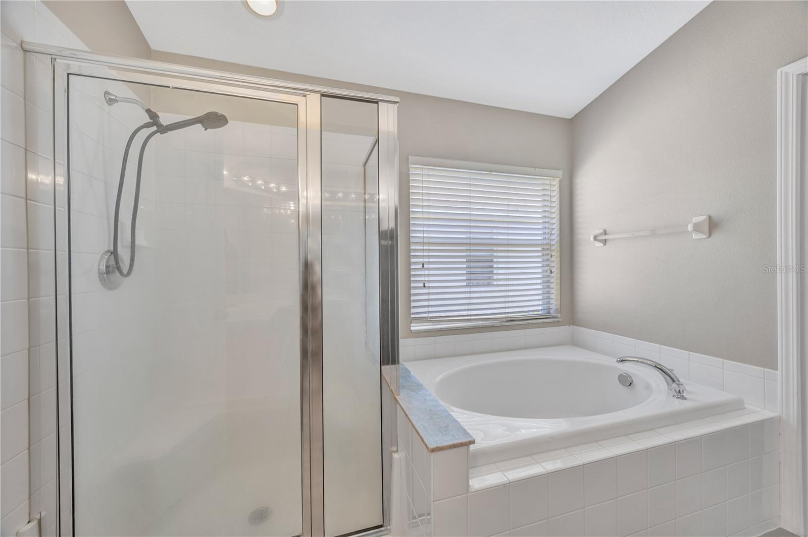 30435 ANNADALE DR, WESLEY CHAPEL, FL, 33545