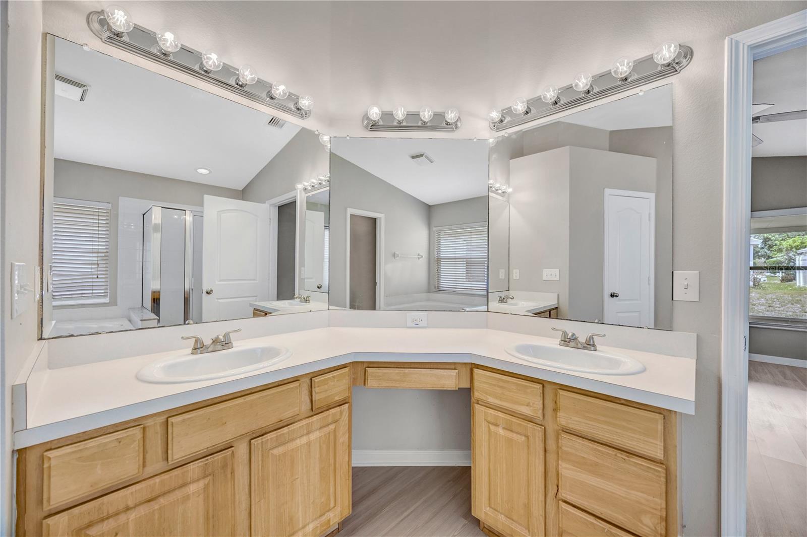 30435 ANNADALE DR, WESLEY CHAPEL, FL, 33545