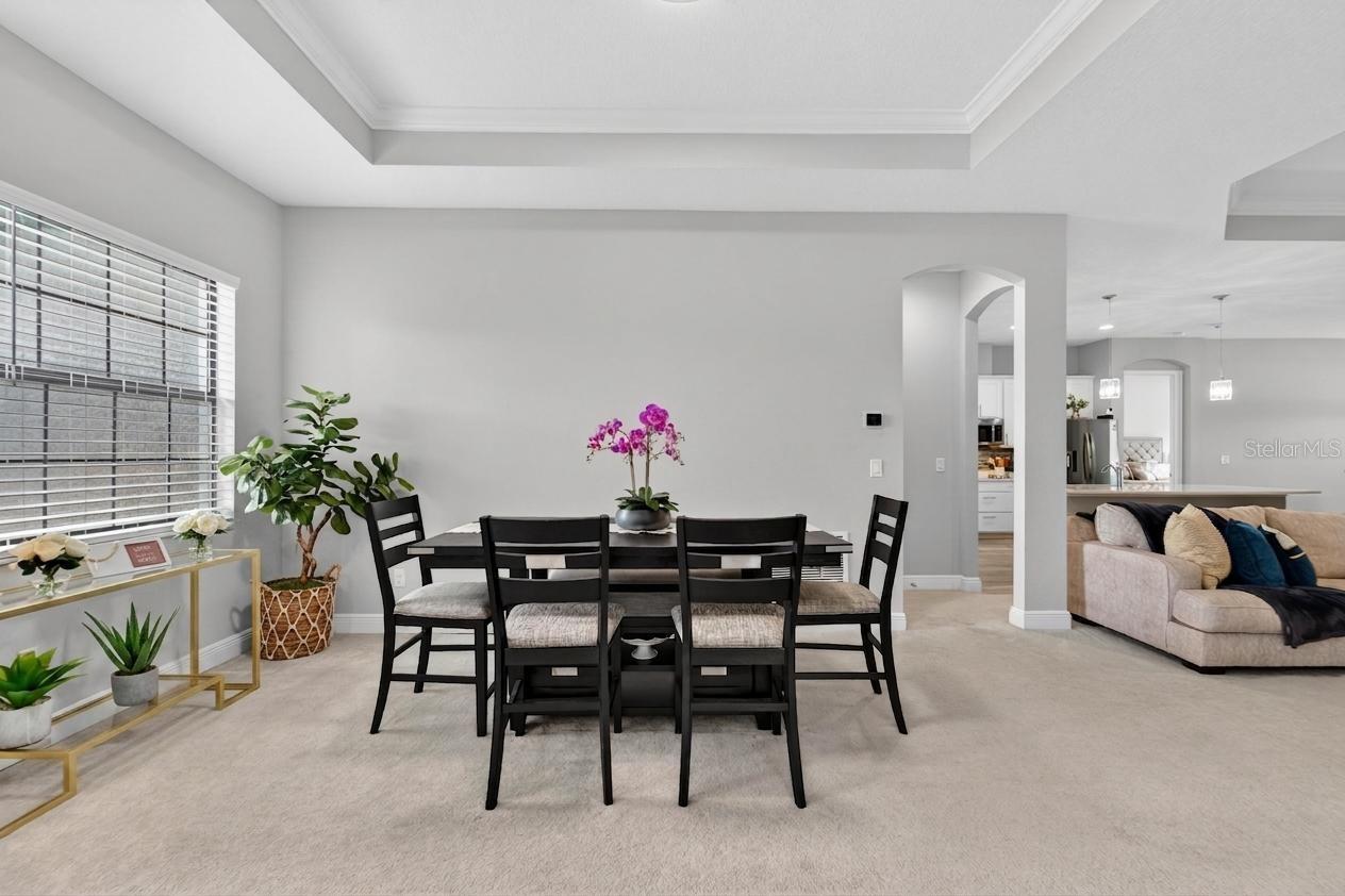 3925 SALIDA DELSOL DR, SUN CITY CENTER, FL, 33573