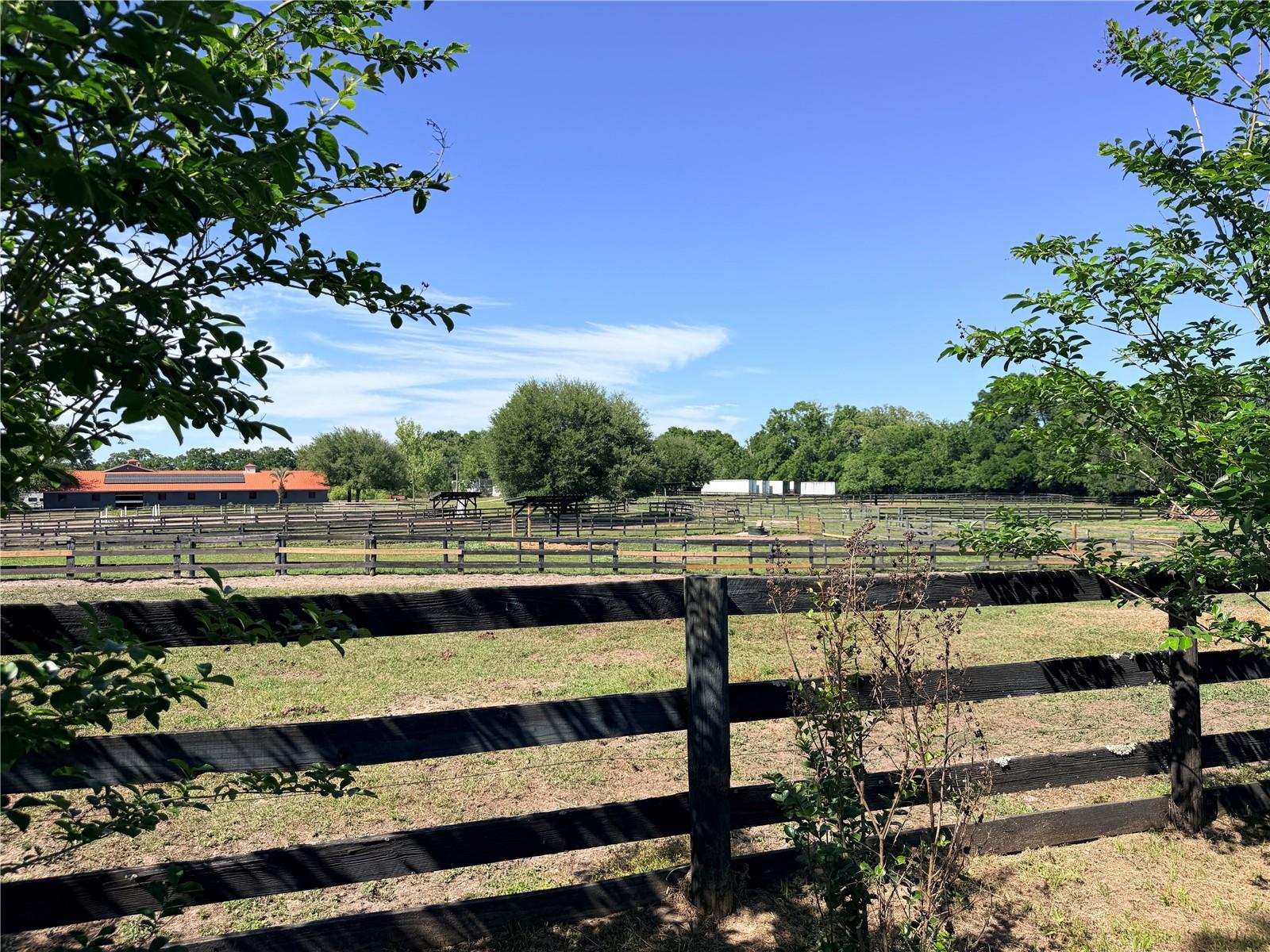 311 NW 106TH AVE, OCALA, FL, 34482