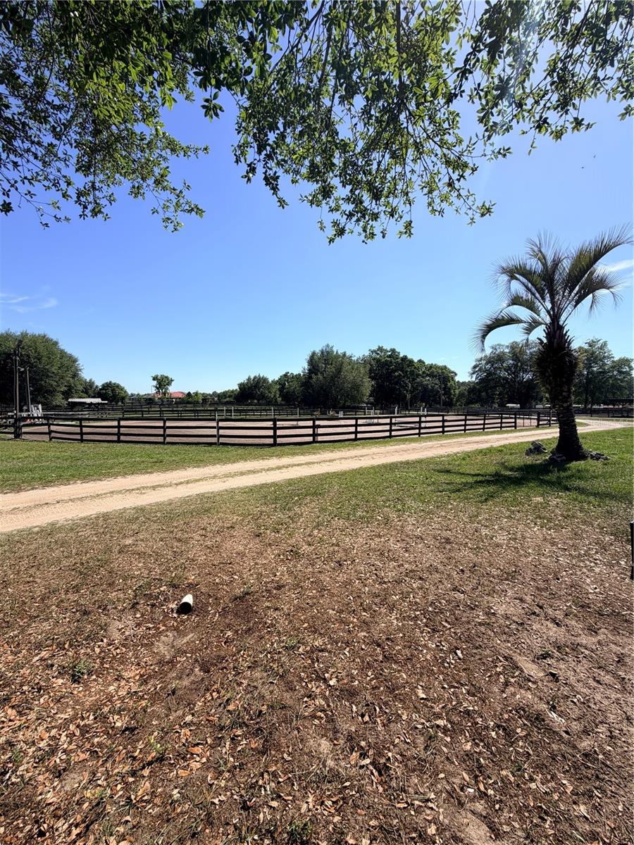 311 NW 106TH AVE, OCALA, FL, 34482