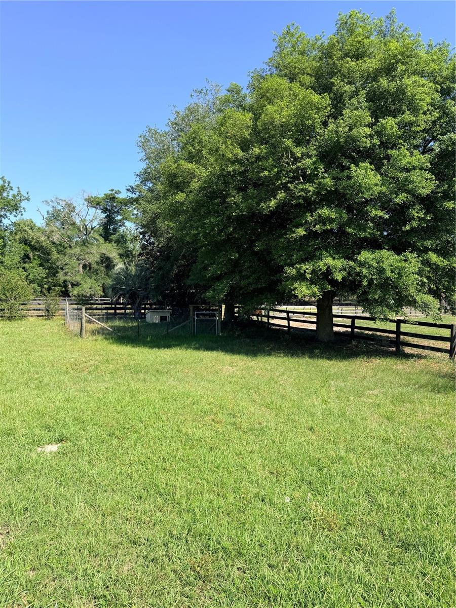 311 NW 106TH AVE, OCALA, FL, 34482