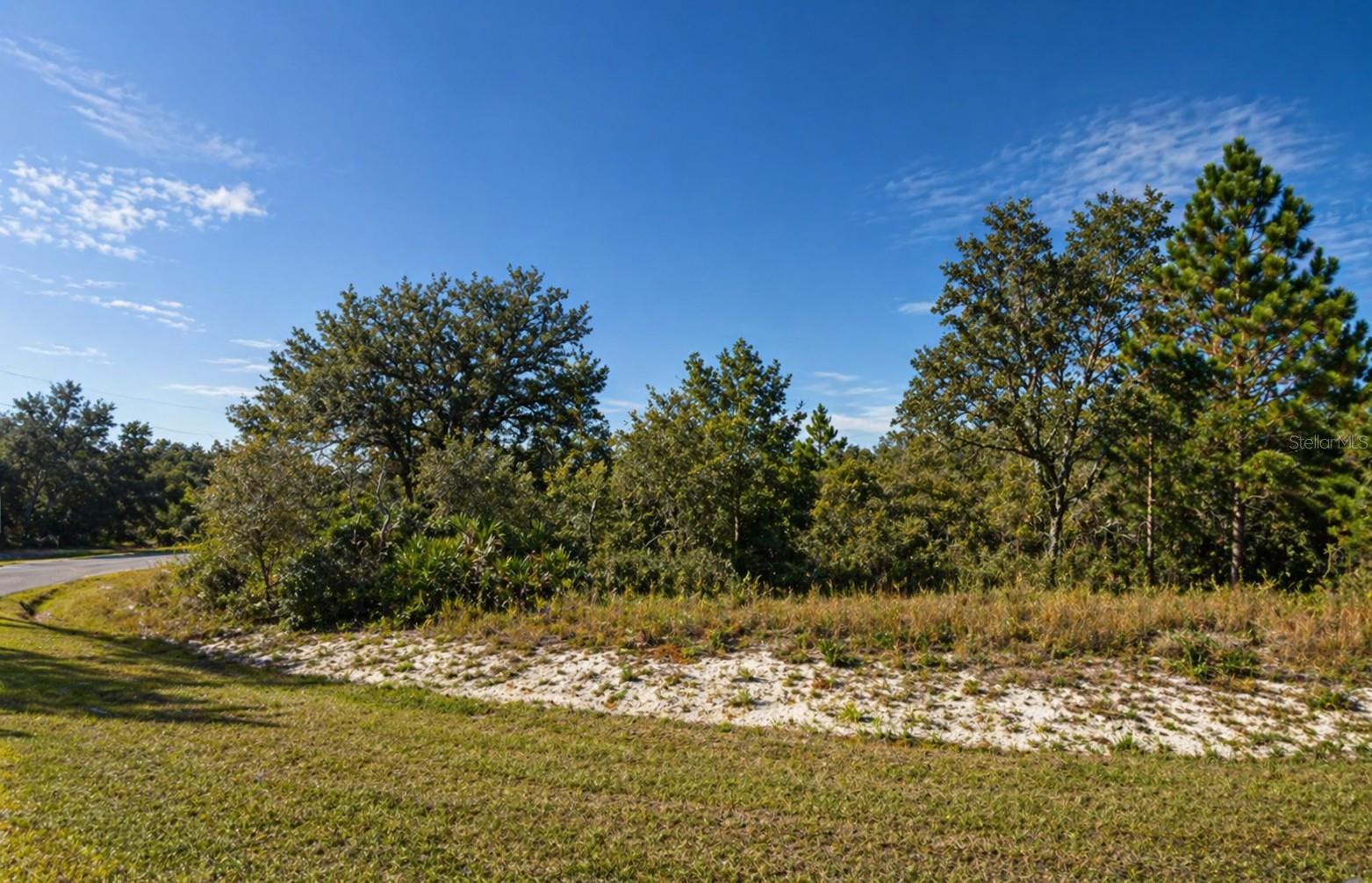 320 BOWFIN DR, KISSIMMEE, FL, 34759