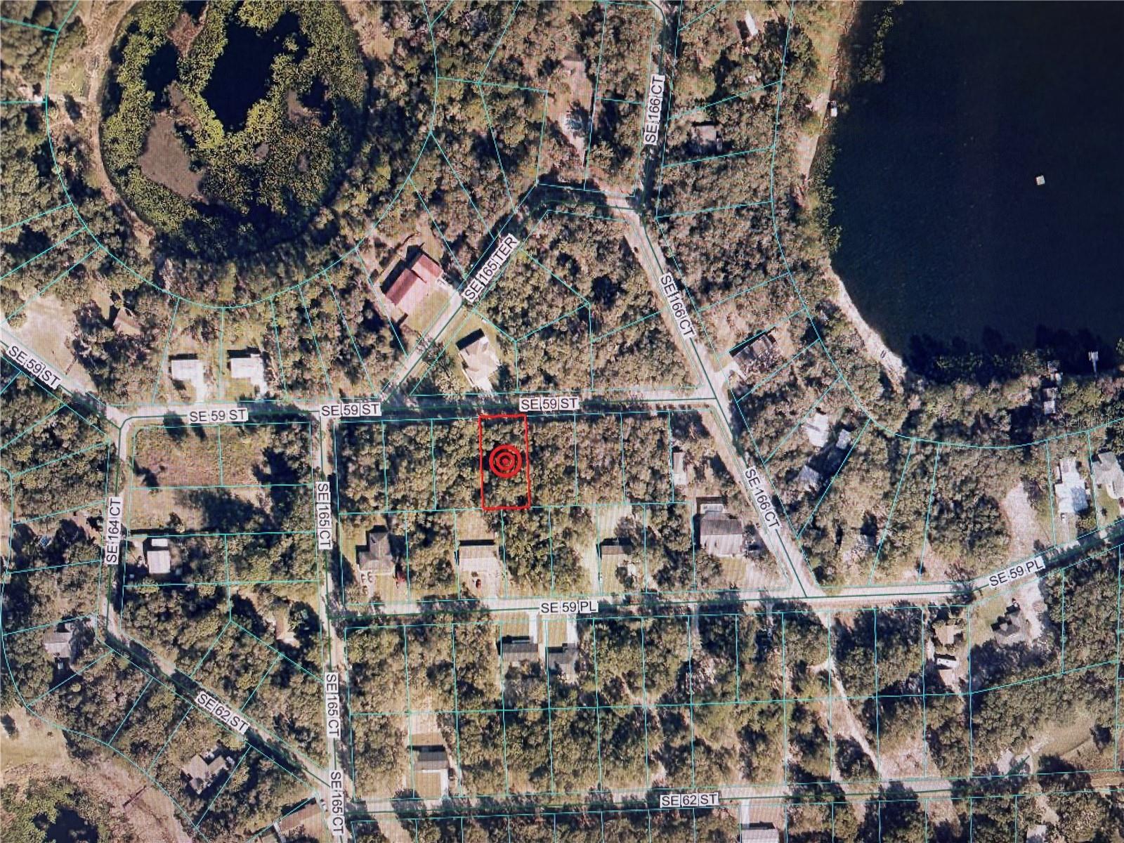 16604 SE 59TH ST, OCKLAWAHA, FL, 32179