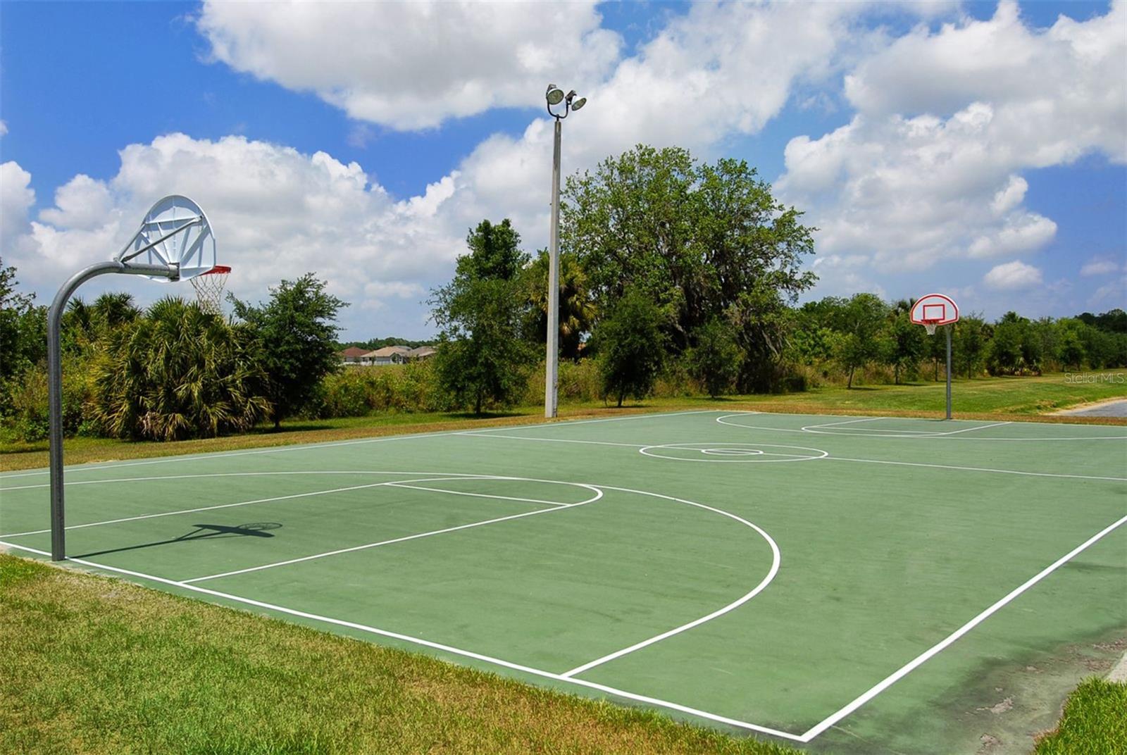 318 RAGDOLL RUN, BRADENTON, FL, 34212