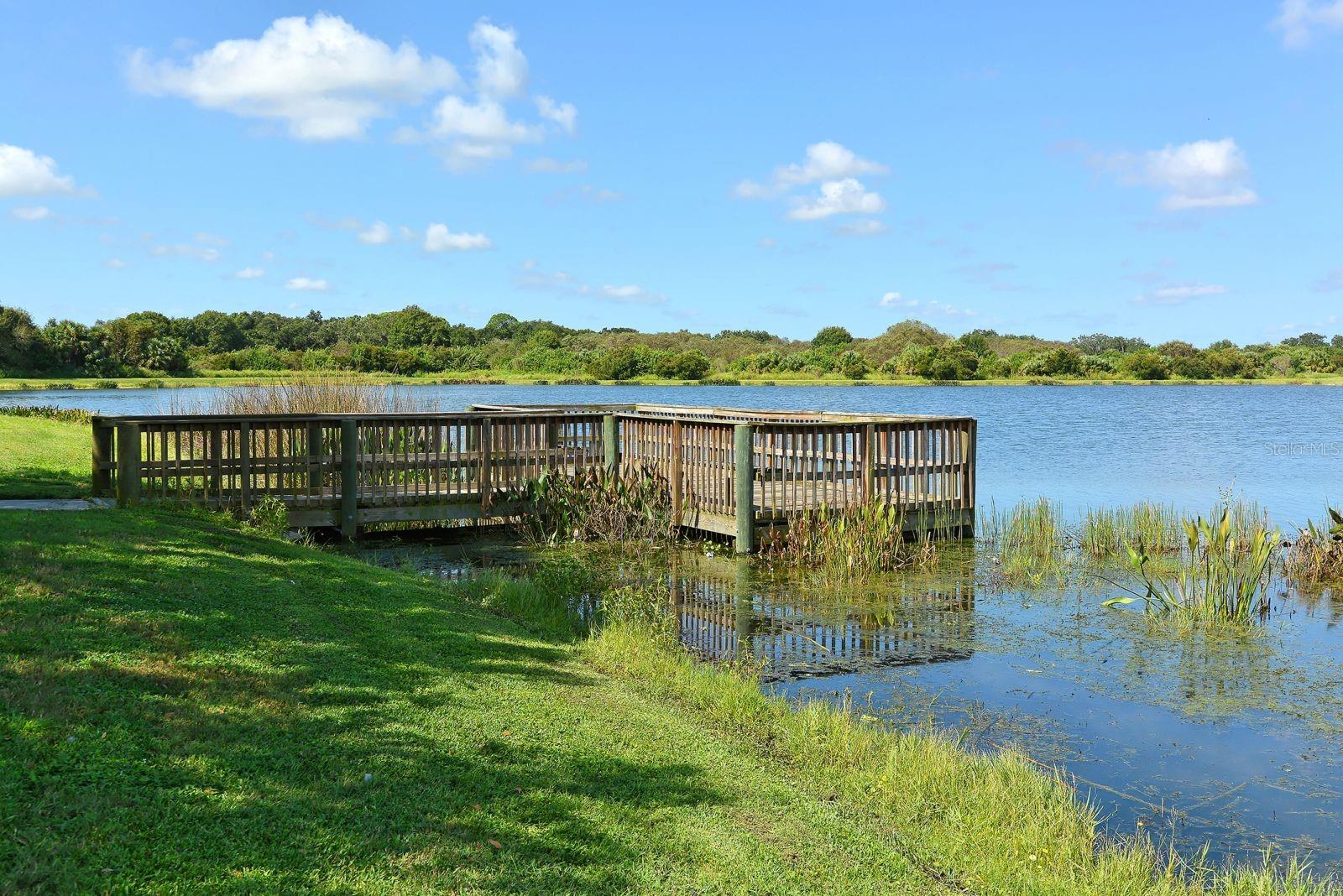 318 RAGDOLL RUN, BRADENTON, FL, 34212