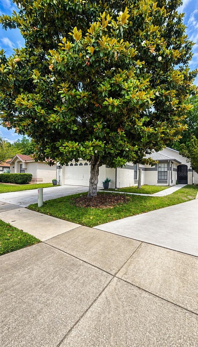 11529 PUMPKIN SEED CT, ORLANDO, FL, 32821