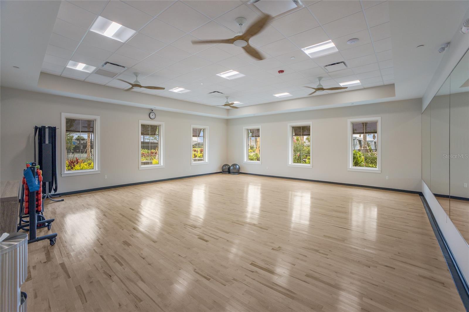 4341 DAIRY CT, LAKEWOOD RANCH, FL, 34211