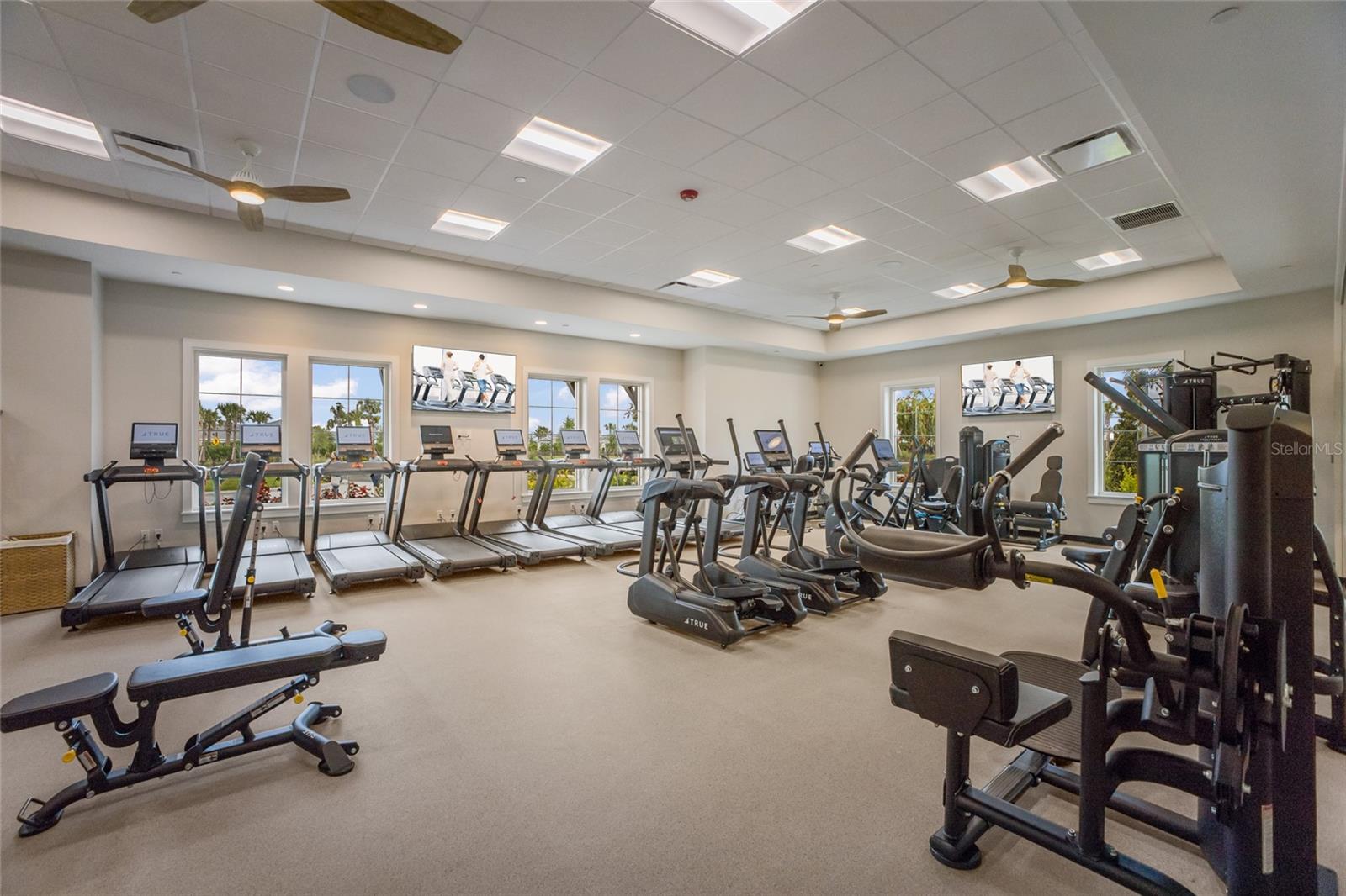 4341 DAIRY CT, LAKEWOOD RANCH, FL, 34211